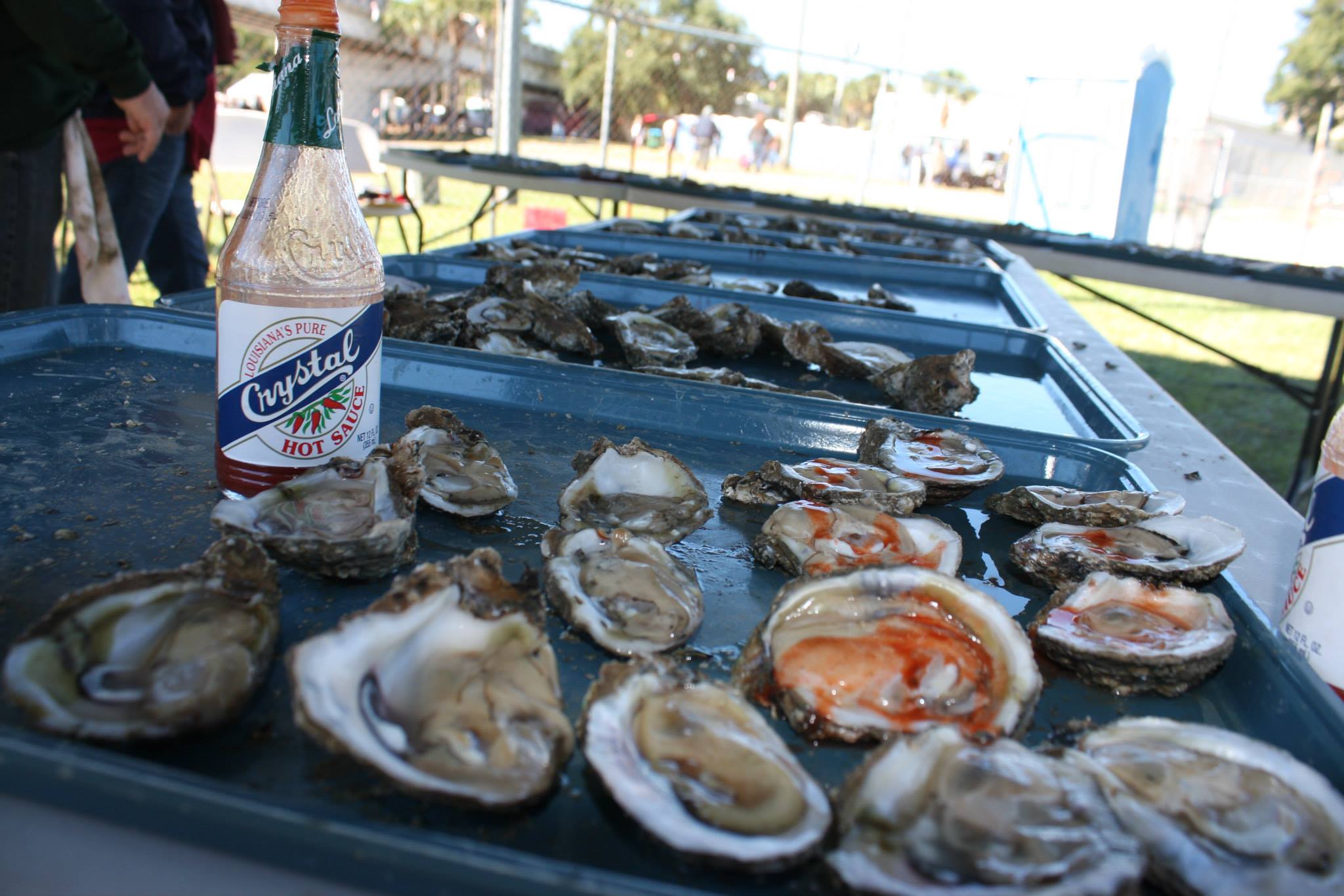 Florida Seafood Festival, Apalachicola FL, November 6th and 7th 2015